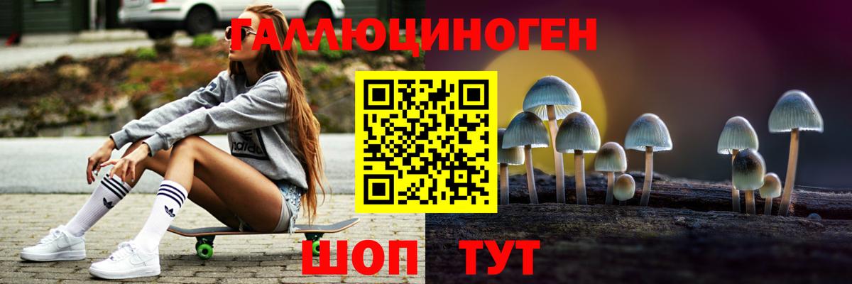 Галлюциногенные грибы Psilocybe  Псилоцибиновые грибы GOLDEN TEACHER  Вход с VPN  Кумертау 